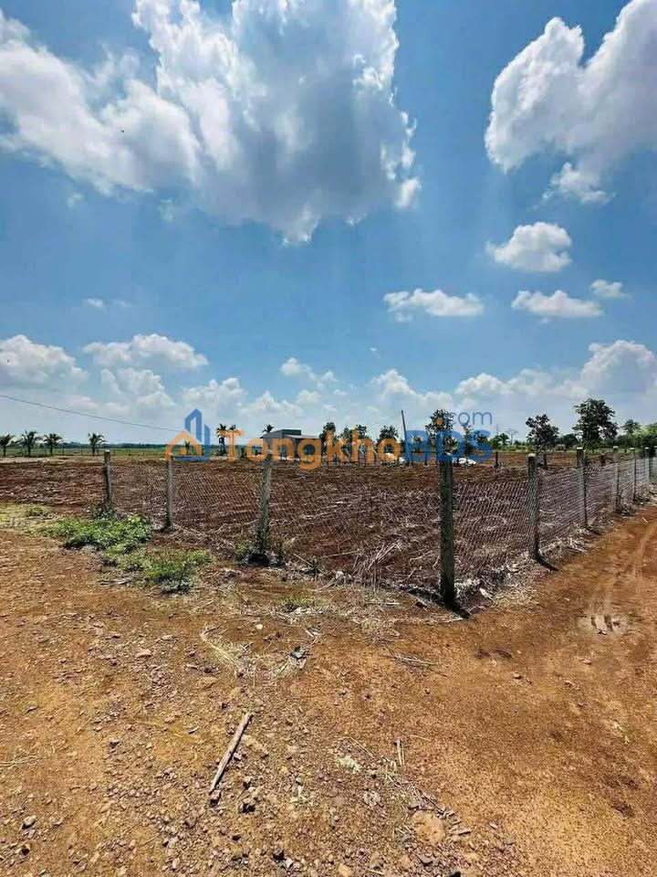 Bán Đất Vườn Buôn Đôn 405m² - 2 Mặt Tiền, Đường Oto - Giá 4XX Triệu