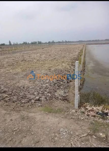 Bán Đất Vườn An Giang 3056m² - Giá 1.5 Tỷ - Sẵn Vườn, Nền Đẹp