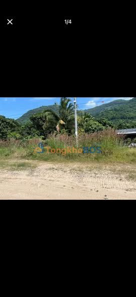 Đất An Cư Tịnh Biên 9.000m² thỏa thuận - Sổ đỏ chính chủ