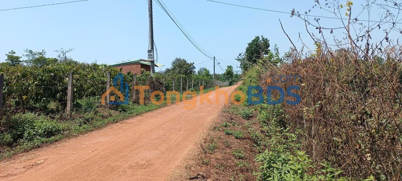 Đất nền Ea Kmút Thôn 3 10.000m² 2 tỷ - Sổ đỏ chính chủ