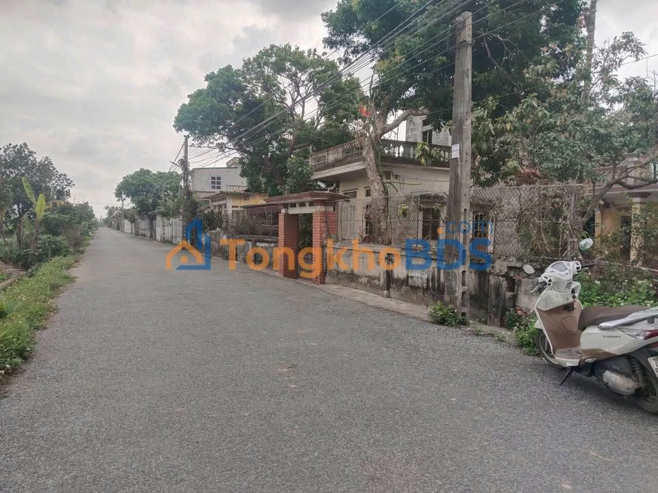 Bán đất Trục Chính Xã Đông Hợp, Thái Bình - 98.8m² - Sổ Đỏ Lâu Dài