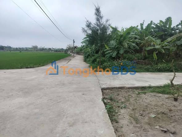 Đất nền Liên Hoa Đông Hưng 152m² - Đường to ô tô