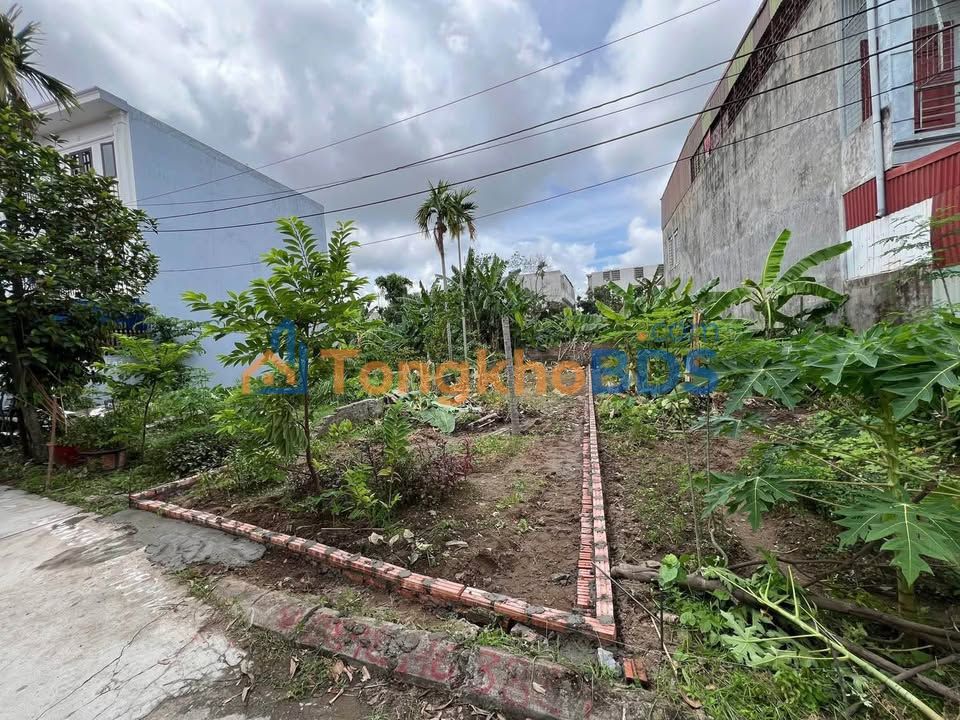 Đất Nền Vân Tra 100m² - Hướng Bắc, Sổ Đỏ Sẵn Sàng - Giá Đầu Tư