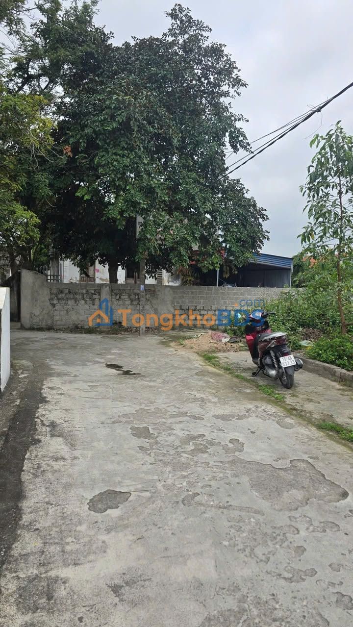 Đất nền An Lão, Hải Phòng - 60m² giá chỉ từ 6xx triệu, đầu tư sinh lời