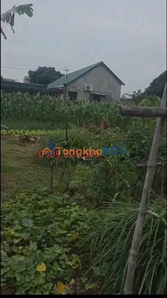 Đất nền Mỹ Xá 175m² 500 triệu - Sổ đỏ chính chủ