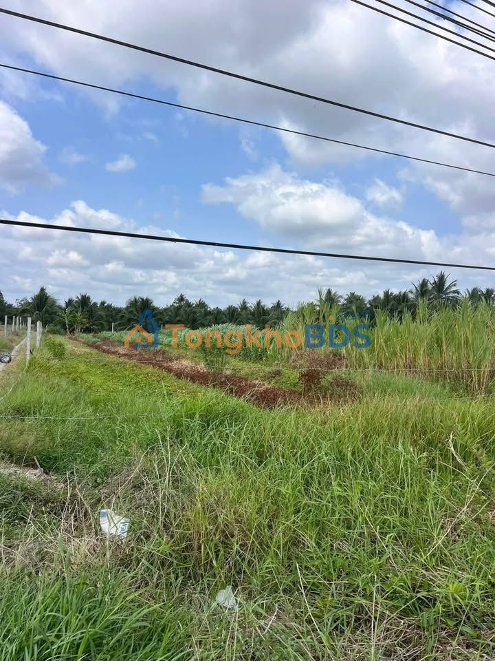 Đất nền QL57B Châu Hưng 4.177m² 23.45 tỷ - Sổ đỏ chính chủ