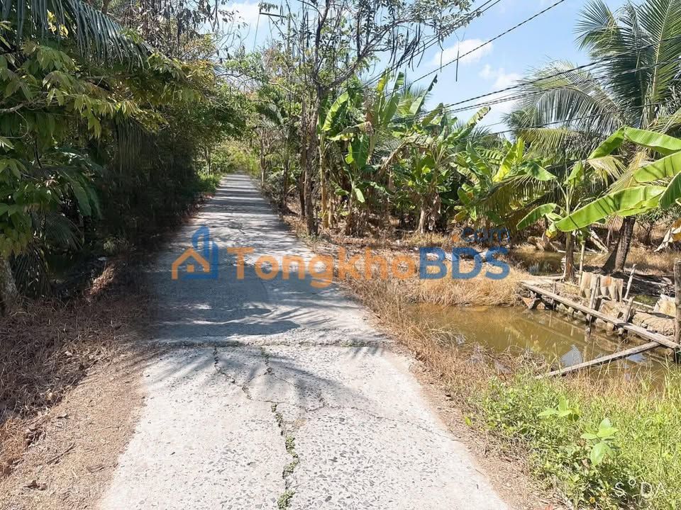 Đất nền Phú Tân Bến Tre 1051m² 999 triệu - Pháp lý rõ ràng