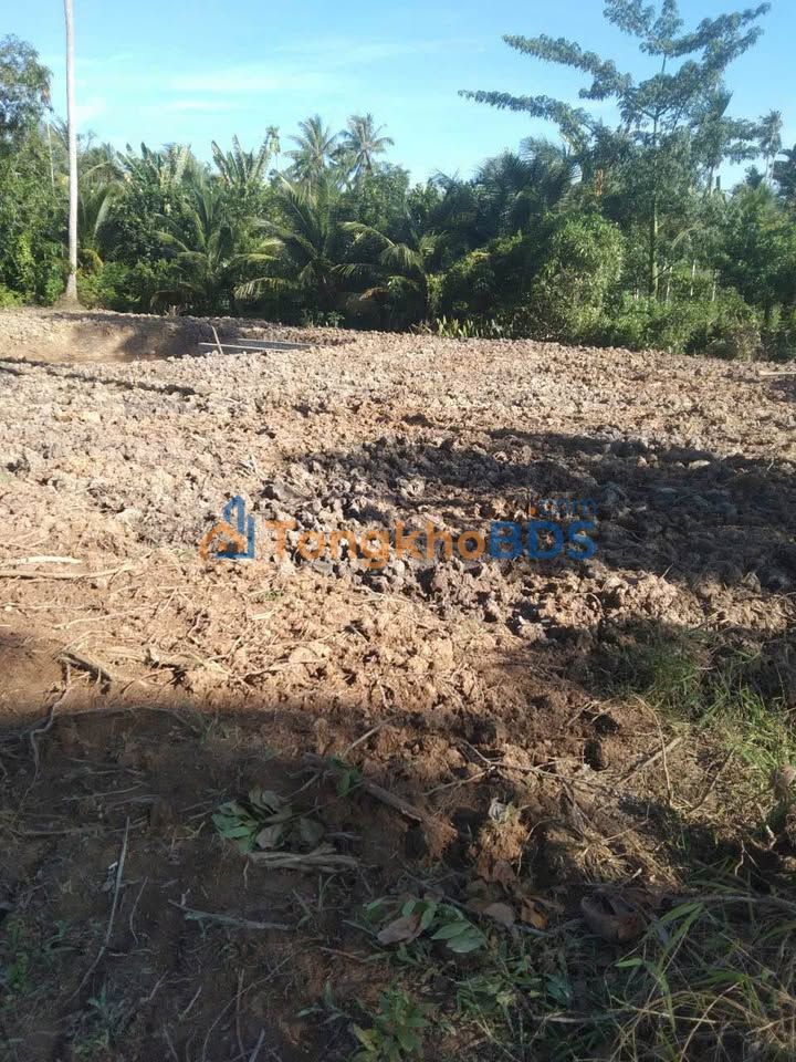 Đất Nền Phường 6, Bến Tre - 546m² Giá 3.45 Tỷ - Sẵn Sàng Xây Nhà