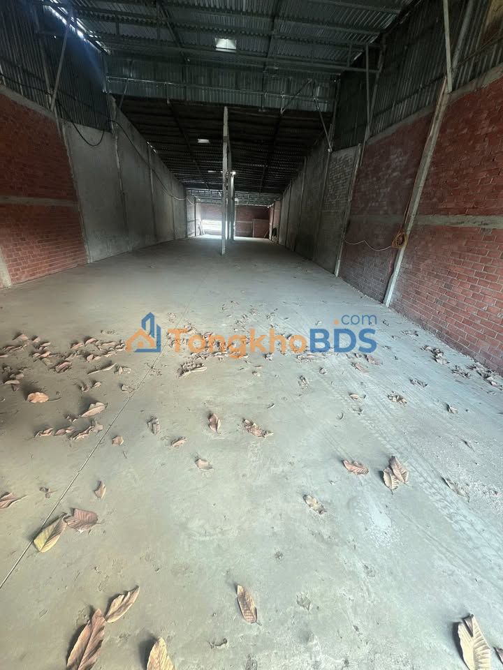 Cho Thuê Kho 280m² Mặt Tiền Container - Bến Tre Giá 8 Triệu