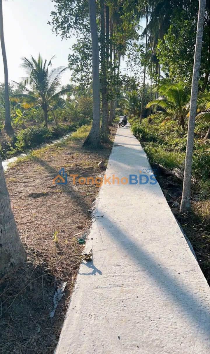 Bán nền đất 557m² Phường Sơn Đông, Bến Tre - Giá 345 triệu, Sẵn Xây Nhà