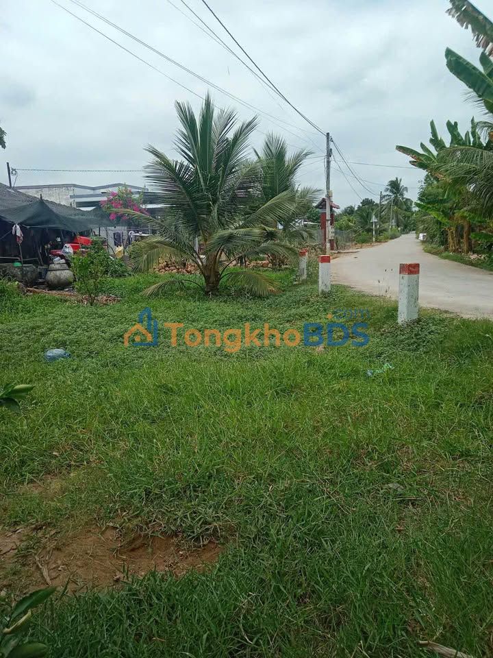 Bán Gấp 1 Công Đất Vuông Vức Xã An Hiệp, Bến Tre - Giá 1.3 Tỷ