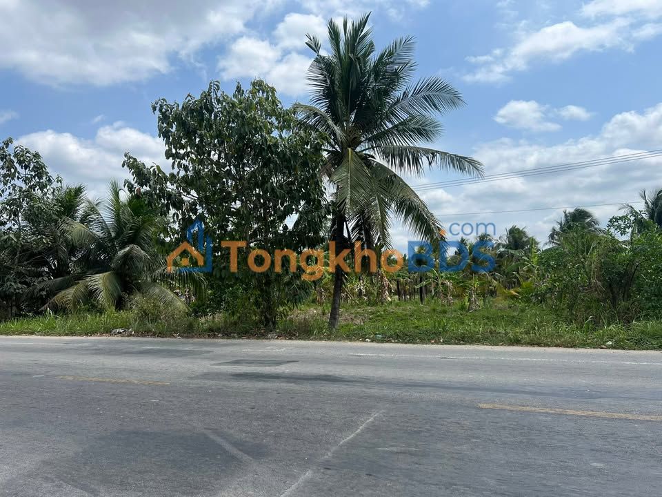 Đất Nền Mặt Tiền TL883, Bến Tre - 4800m² Hướng Nam, Giá 11 Tỷ TL