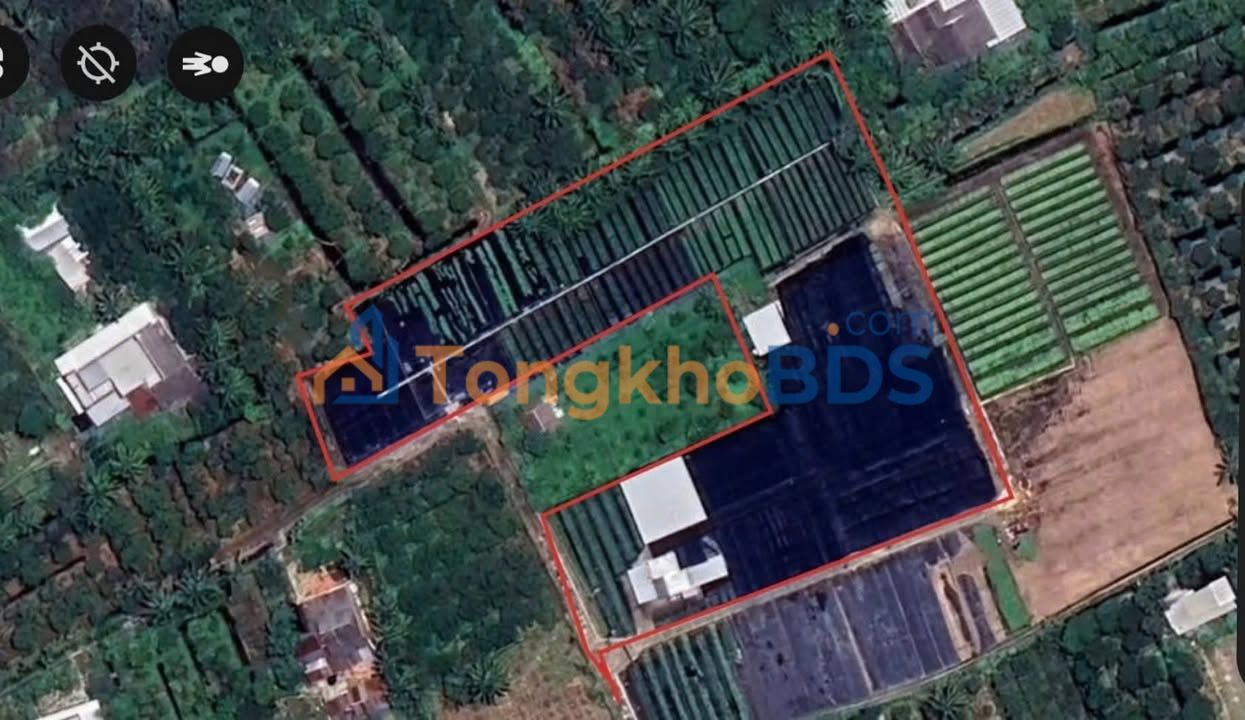 Đất Vườn Bến Tre 13.300m² - Sẵn Hạ Tầng, Giá 11 Tỷ