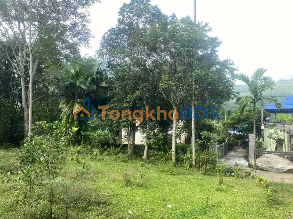 Bán đất Kim Bôi, Hoà Bình 1.8ha có 1768m² thổ cư - Sổ đỏ chính chủ