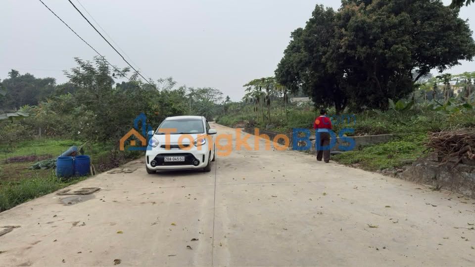 Đất Nền 368m² Hòa Bình - Gần UBND Xã Nhuận Trạch, Giá Hấp Dẫn