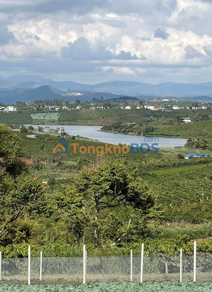 Đất Nền 1000m² Sổ Đỏ View Hồ Phúc Thọ, Lâm Hà - Giá 790 Triệu