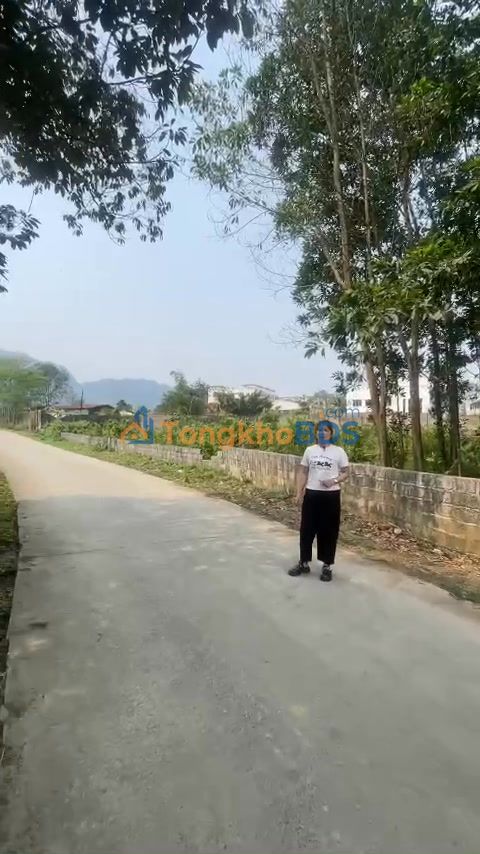 Đất nền tiềm năng 757m² full cây lâu năm tại Hòa Bình - Sổ hồng sẵn sàng