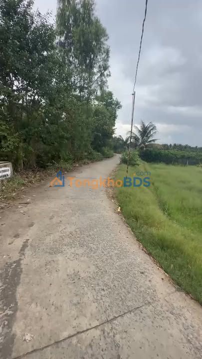 Bán Đất Vườn 1600m² Mặt Tiền Xã Tân Phú, Tiền Giang - Sẵn Sàng Đầu Tư