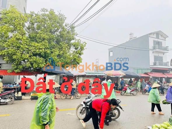 Bán Đất Nền 110m² Trục Chính Chợ Hưng Hoá, Phú Thọ - Kinh Doanh Đắc Lợi