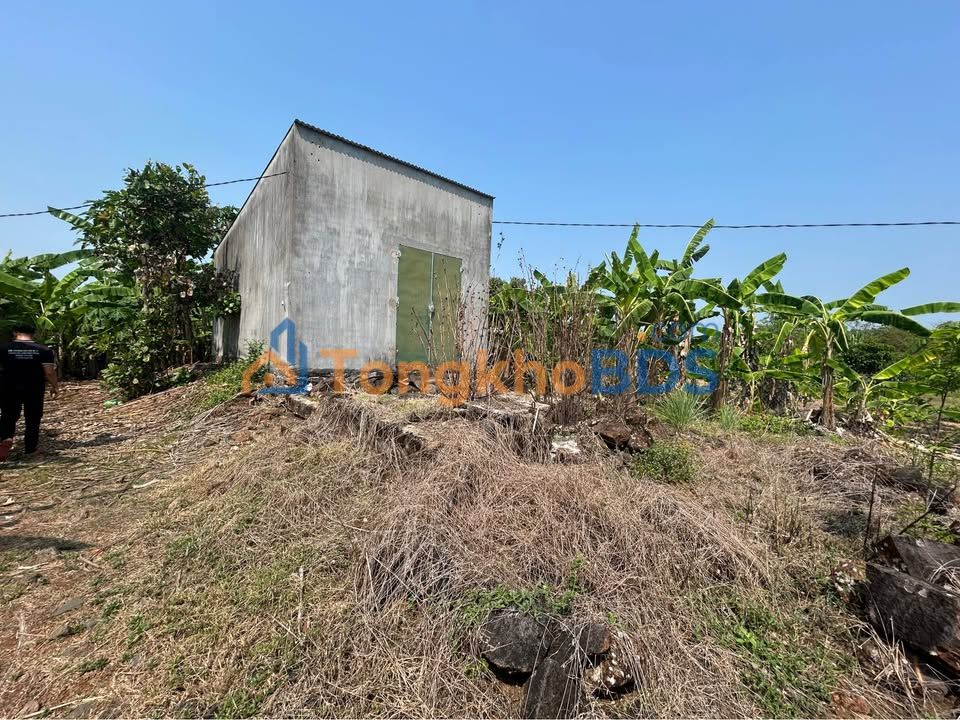 Nhà vườn Phú Vinh 12.400m² giá 3.8 tỷ - Sinh thái xanh ven suối