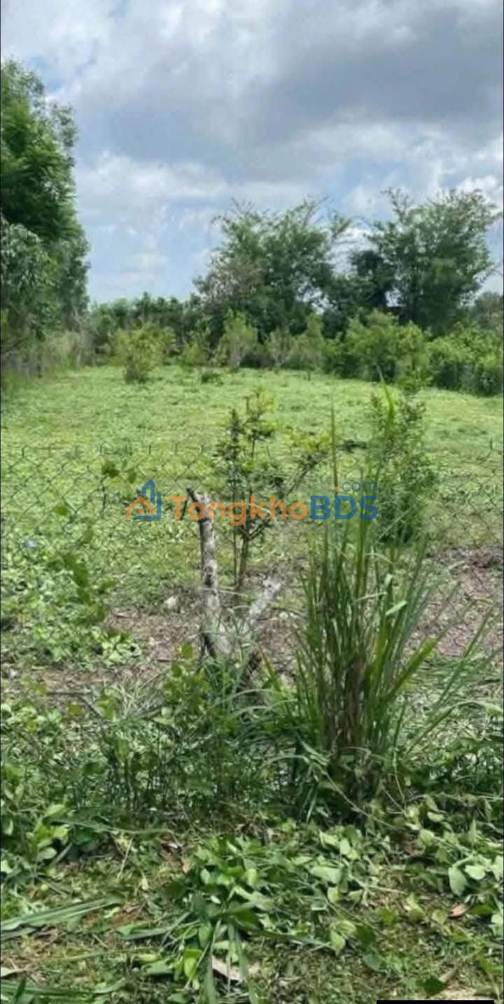 Đất nền Phú Thanh Đồng Nai 488m² - Sổ đỏ thổ cư, giá 650 triệu