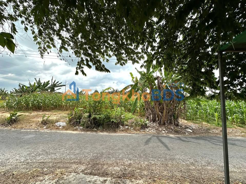 Đất Đường Đôi Ma Đông Bình 1.030m² 3,5 tỷ - Đường to ô tô