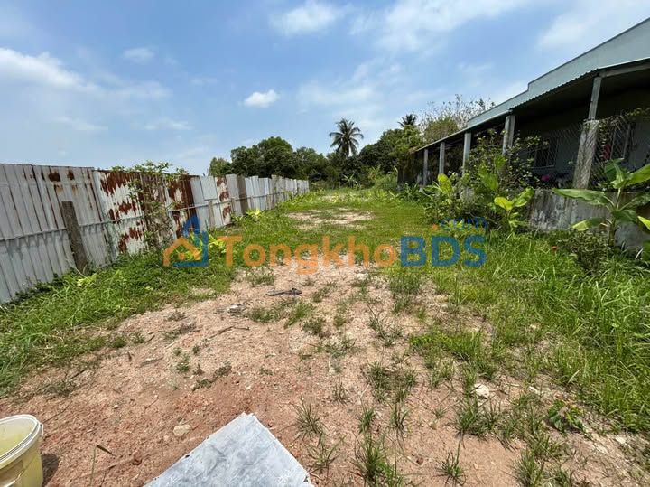 Bán Gấp Đất Vườn Long An 873.5m² Mặt Tiền Đường Đan - Giá 1.5 Tỷ