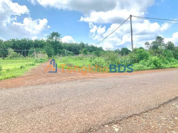 Đất Nền Hớn Quản Bình Phước 1000m² - Mặt Tiền Rộng, Giá Chỉ 250 Triệu