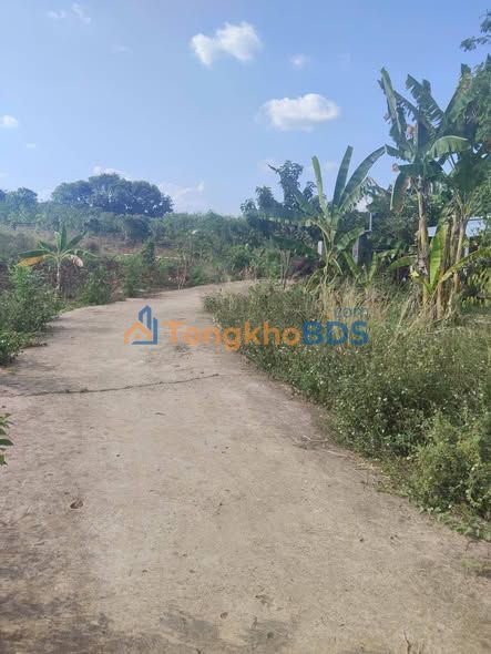 Đất Nền Đồng Phú 600m² - Nở Hậu 12m, Sẵn Sổ Hồng, Giá 330 Triệu