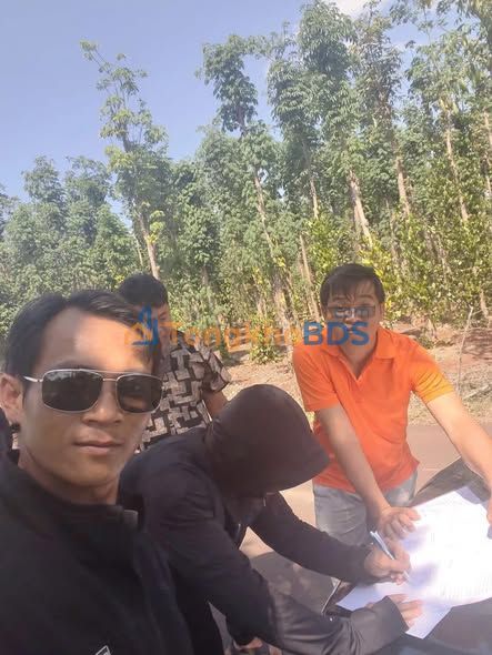 Đất Nền Sổ Hồng Sẵn 80m² Tại Châu Đức, Bà Rịa - Vũng Tàu - Giá Chỉ 5xx Triệu