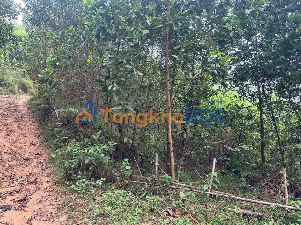 Đất nền Kim Bôi 14.000m² - Giá chỉ 200 triệu - View thoáng đẹp