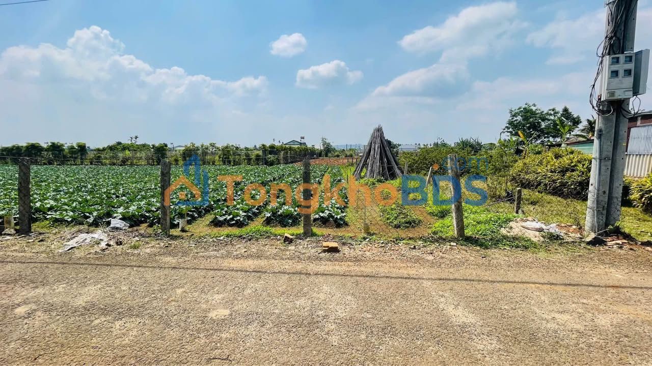 Đất Quy Nhơn Phạm Ngọc Thạch 125m² 1.2 tỷ - Đường to ô tô