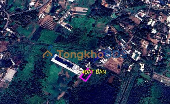 Bán Đất Củ Chi 1125m² Mặt Tiền Đường Nhựa 625 - Sổ Hồng Sẵn Sàng