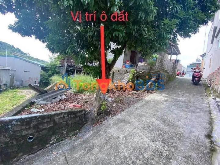 Đất nền Đồi T5 Hạ Long 82m² 1.6 tỷ - Sổ đỏ chính chủ