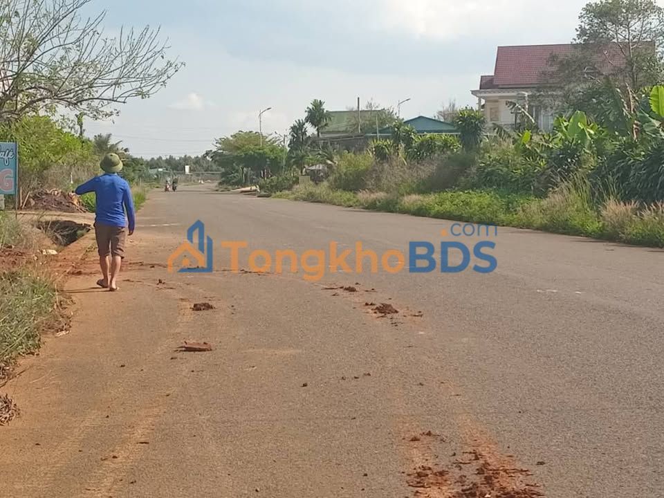 Đất Vàng Bảo Lộc 560m² Mặt Tiền Đường Tránh QL20 - Sẵn 200m² Thổ Cư