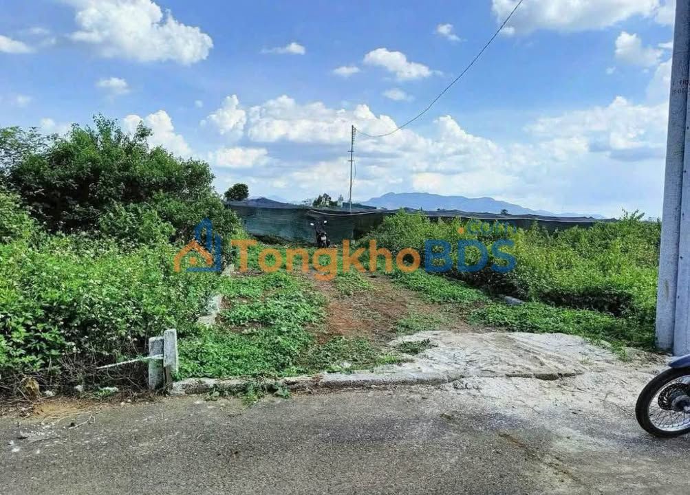 Nhà Hẻm 169 Nguyễn Đình Chiểu, Bảo Lộc - 94m², Sổ Đỏ Sẵn Sàng