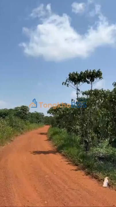 Bán Gấp 8800m² Farm Lộc Phú, Bảo Lâm - Giá Đầu Tư 4.3 Tỷ