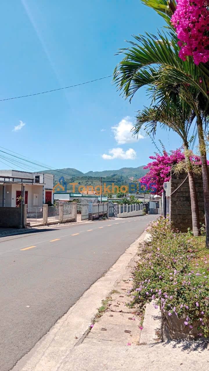 Nhà Mặt Tiền Nguyễn Thiện Thuật, Bảo Lộc - 680m², Sổ Hồng, 6 Tỷ