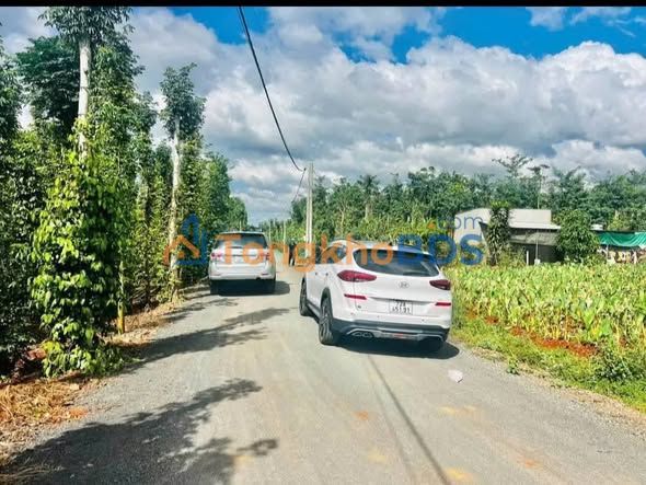 Bán Đất Vườn Xuyên Mộc 3100m² - Sổ Hồng Riêng, Lô Góc Hai Mặt Tiền