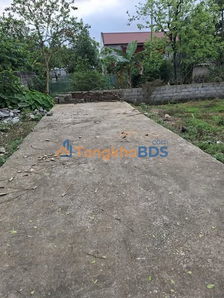 Đất nền Liêu Trung Nho Quan 105m² 7xx triệu - Sổ đỏ chính chủ