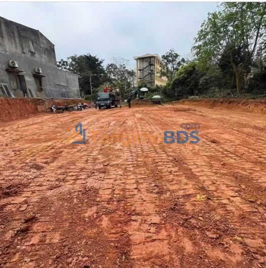 Bán Gấp 5 Lô Đất Mặt Tiền TP Tuyên Quang - Cạnh Đại Học Tân Trào