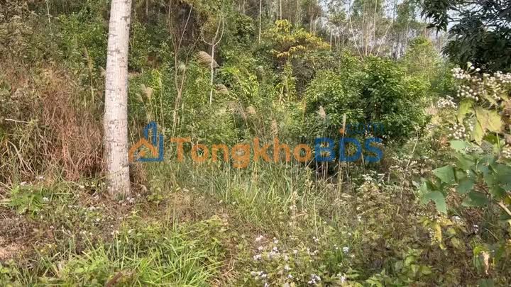 Đất nền Yên Bái 1000m² - Gần Suối Giàng, Giá chỉ hơn 300 triệu