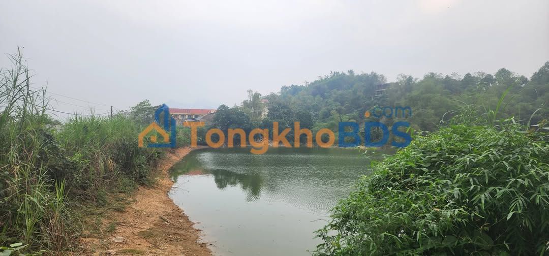 Đất Nền Kim Phú Tuyên Quang 110m² - Sổ Đỏ Sẵn, Giá 9xx Triệu