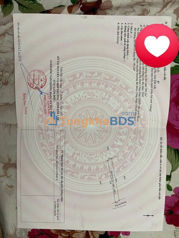 Đất nền Tân Hoà 2 - Krông Pắc - Sổ đỏ 250m² - Giá F0 CĐT