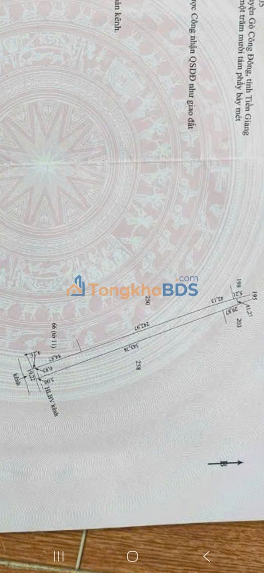 Bán Gấp Đất Vườn Tiền Giang 7100m² - Sổ Đỏ Chính Chủ