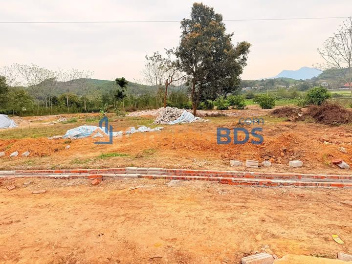 Đất nền Minh Xuân Tuyên Quang 115m² 500-599tr - Sổ đỏ chính chủ