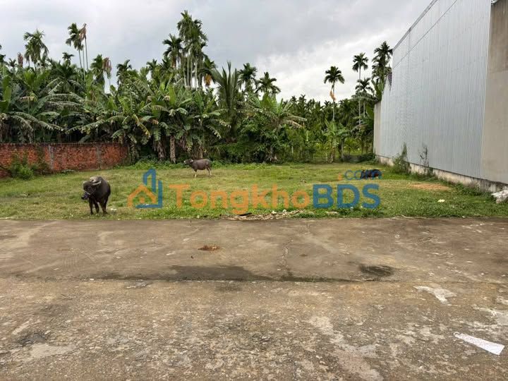 Đất Nền Quảng Ngãi 125m² - Đầu Tư Sinh Lời Tại Thôn La Châu