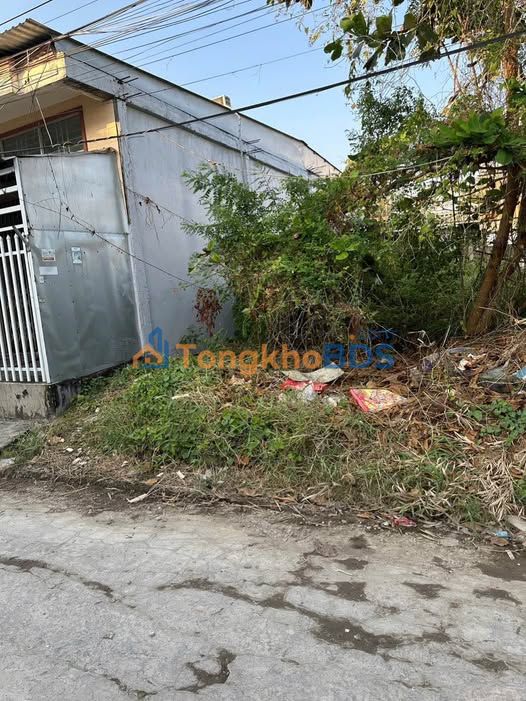 Bán Gấp Đất Nền 48m² P.8 TP. Cà Mau - Giá Tốt 530 Triệu