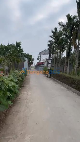 Bán Đất Nền Nghĩa Lạc, Nghĩa Hưng: 250m² Lô Góc Kinh Doanh, Sổ Đỏ Riêng