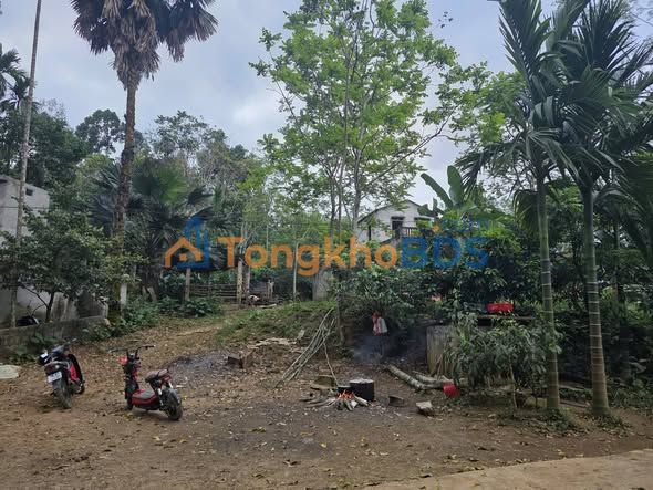 Bán Đất Vườn 800m² Tặng Nhà 2 Tầng Kiên Cố Tại Tân Lạc, Hoà Bình